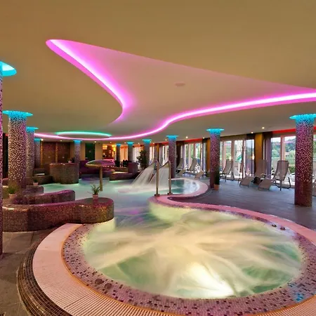 Tó Wellness Szálloda 3*