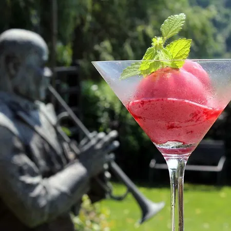 Tó Wellness Szálloda 3*