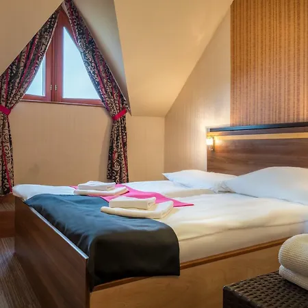 Tó Wellness 3*