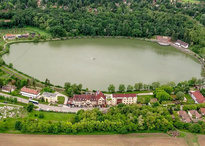 To Wellness Bank (Nograd)